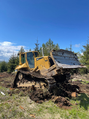 Dozer Caterpillar D6N